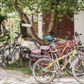 Szőlőskert Kerékpáros Vendégház Fertőrákos