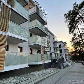 Lawenda Krynicka w kompleksie Nautikka Park Krynica Morska
