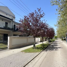 Smeraldo Penthouse Zamárdi