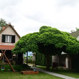 Körös Körül Vendégház Öcsöd