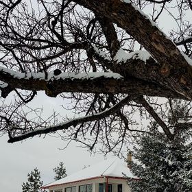 Casa de oaspeți Kavicsház Vlăhiţa