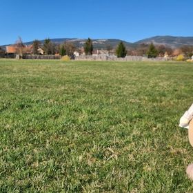 Casa de oaspeți Kavicsház Vlăhiţa
