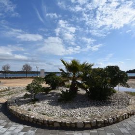 Apartments Feral Pasman