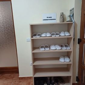 Casa Potcovarului Drăguș