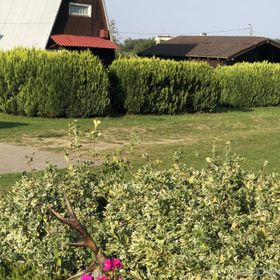 Ośrodek Wypoczynkowy Jastrzębi Las Jastrzębia Góra