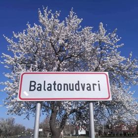 Orsolya Vendégház Balatonudvari