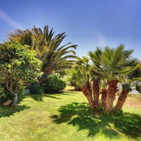 Apartments Brajdine Medulin