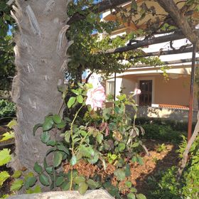 Apartments Ivan D Malinska