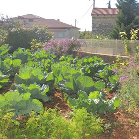 Apartments Ivan D Malinska