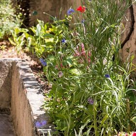 Apartments IVNA Veli Losinj