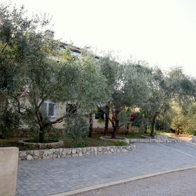 Apartments Angie Njivice