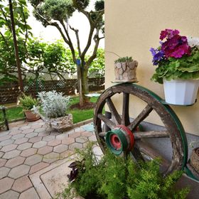 Apartment Elizabeta Umag