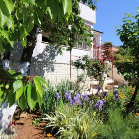 Apartments Anka Porec