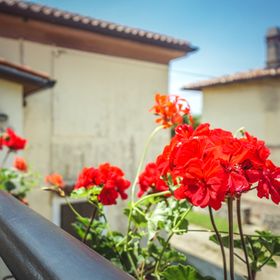 Apartment SANDRA Zambratija