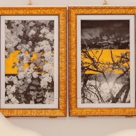 Apartman Novalja - CKP953