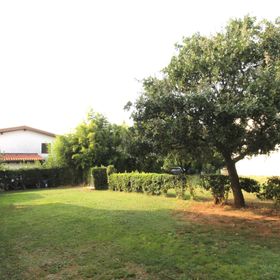 Apartments Noel Zambratija