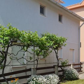 Apartmanok A Tenger Mellett Vir - 20723