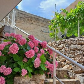 Apartmanok A Tenger Mellett Igrane, Makarska - 21577 Igrane