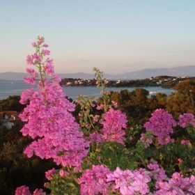 Apartmanok A Tenger Mellett Necujam, Solta - 21776 Nečujam