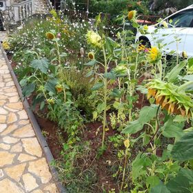 Apartmanok Parkolóhellyel Kraj, Pasman - 22566 Kraj