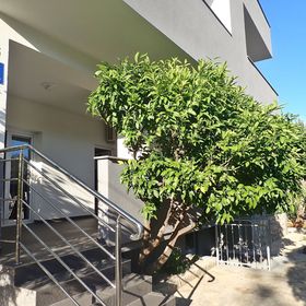 Apartment Marko Starigrad Paklenica