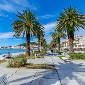 Apartment and Room Columbo Split