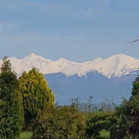 Apartament Bon Șelimbăr
