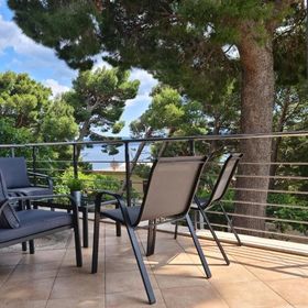 House Pine tree Lokva Rogoznica