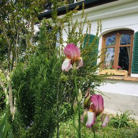 PajtaBagoly Vendégház Nemesvita