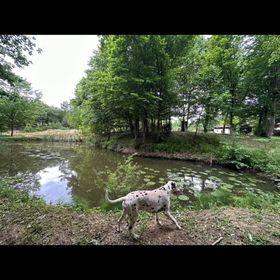 Camping La Balta Vadu Crişului