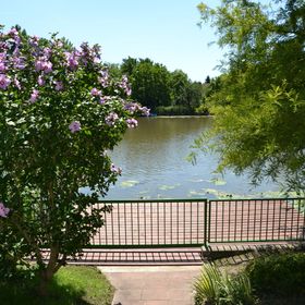 A19 Vendégház Békésszentandrás