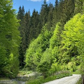 Cabana de pe Râu Runcu