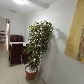 Apartament Anastasia House Oradea