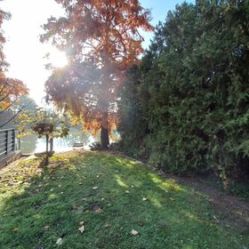 Füzesem Apartman Békésszentandrás