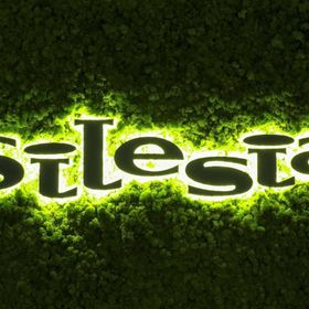 Silesia Krynica-Zdrój