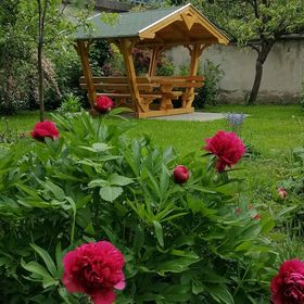 Csipesz Vendégház Nagymaros