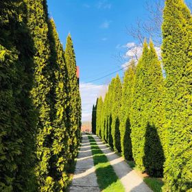 Casa Cristina Gura Humorului 