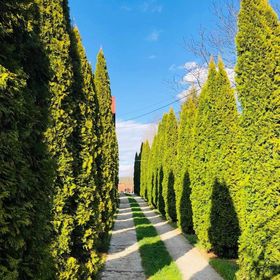 Casa Cristina Gura Humorului 