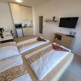 Garden apartment Brno center