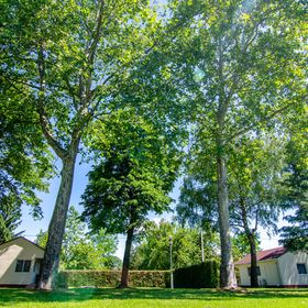 Szigetköz Szíve Apartman & Rendezvényház Dunasziget