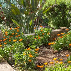 Apartment TEHA Mali Losinj