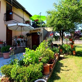 Apartment Fero Porec