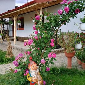 Casa de oaspeți Tiny Mara Râmnicu Vâlcea