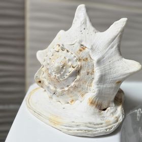 Boróka Apartman Nagymaros