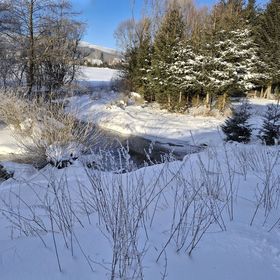 Apartamenty Dzika Orlica Mostowice