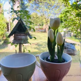 Vadvirág Apartmanház Gyomaendrőd