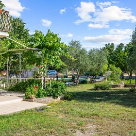 Apartman Lozovac - CSV158