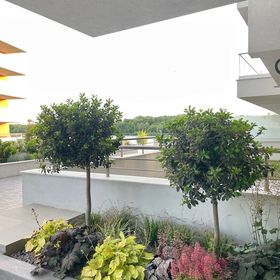 Apartament No 503 Lebada Lake Residence Pantelimon