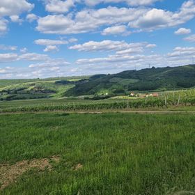 Amrein Vendégház Mecseknádasd