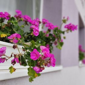 Levendula Vendégház Bezi